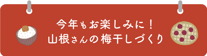 今年もお楽しみに！山根さんの梅干しづくり